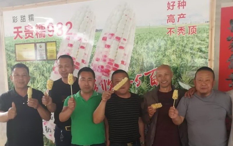 玉米狂欢季&ldquo;价&rdquo;到！