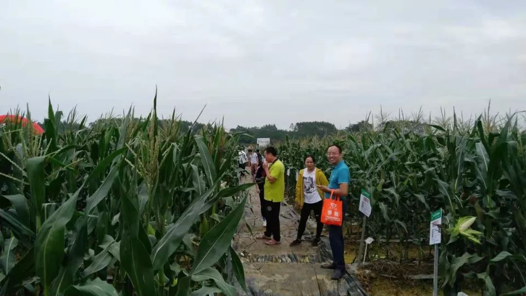 5c21ec4f34253