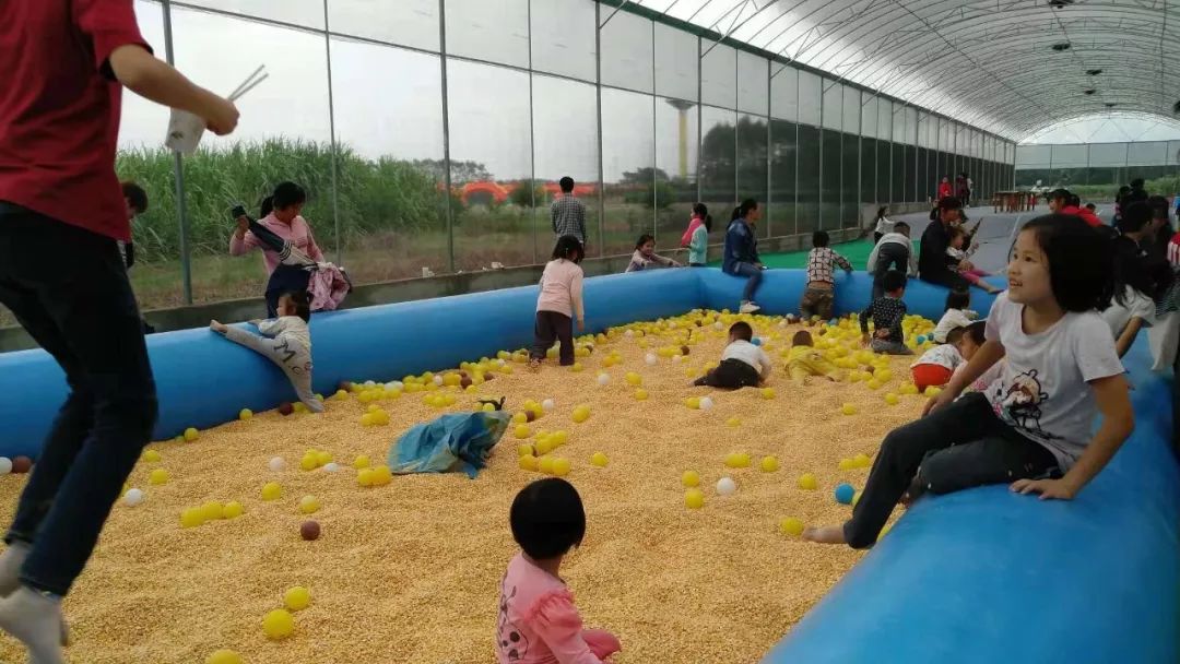 5c21ec55478ae